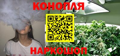 дмт Сланцы