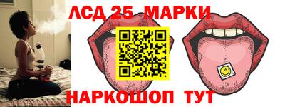 дмт Сланцы
